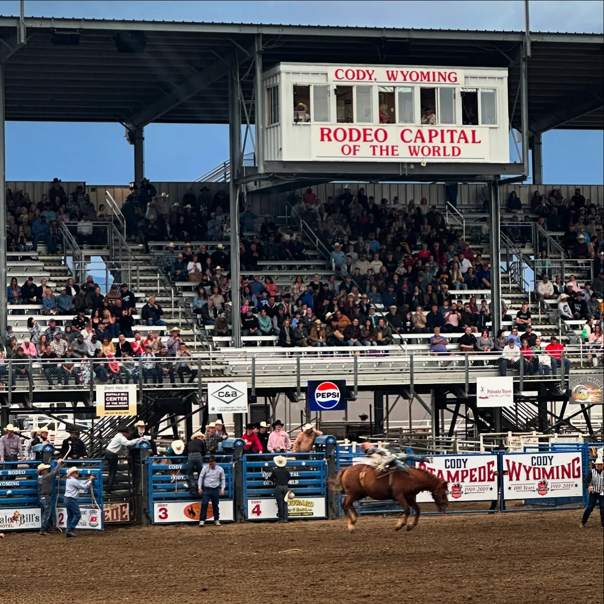 A rodeo event is taking place in an arena filled with spectators in Cody, Wyoming.