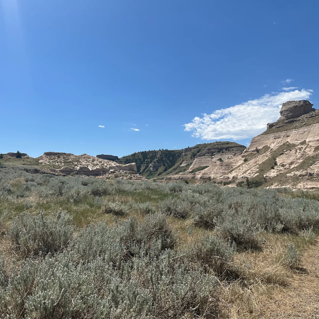 A landscape featuring rugged hills, sagebrush grasslands, and a clear blue sky.
