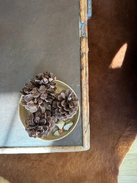 A small bowl containing pinecones and rocks is placed on a table with a warm brown surface.