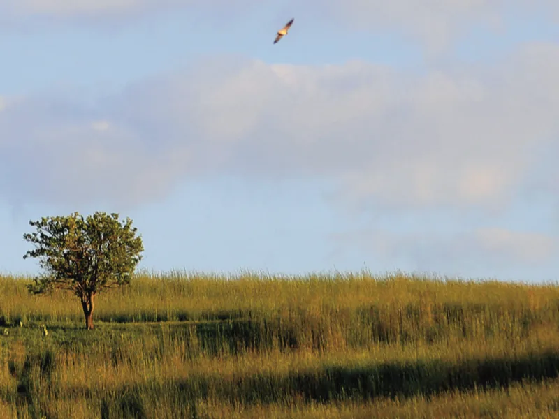 Mobile Community Archives